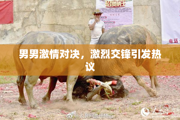 男男激情对决，激烈交锋引发热议