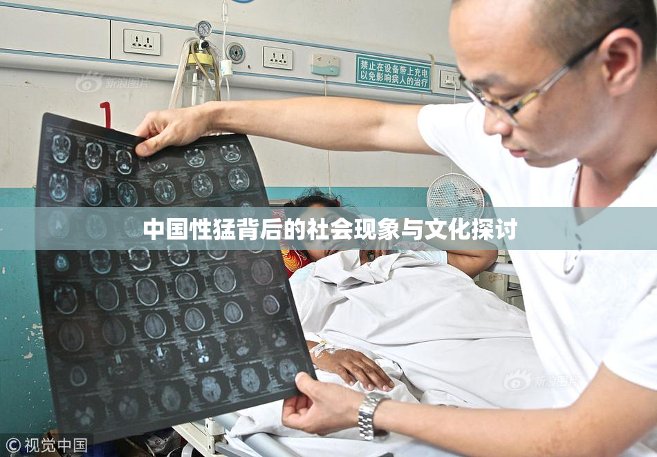 中国性猛背后的社会现象与文化探讨