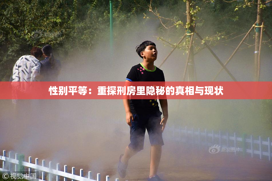 性别平等：重探刑房里隐秘的真相与现状