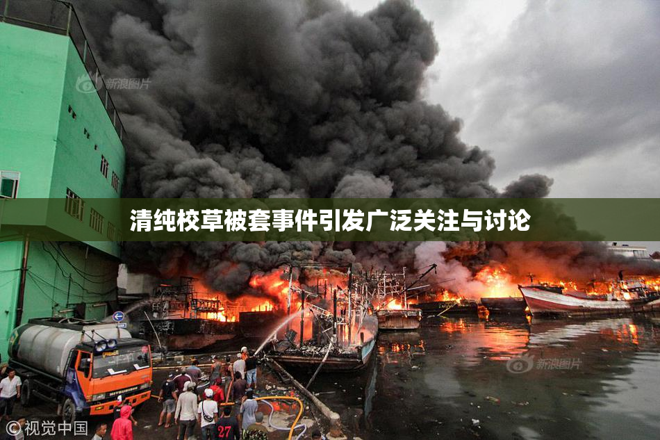 清纯校草被套事件引发广泛关注与讨论