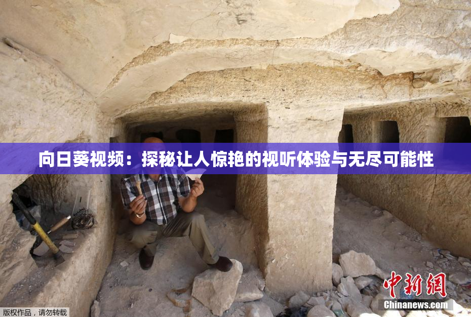 向日葵视频：探秘让人惊艳的视听体验与无尽可能性