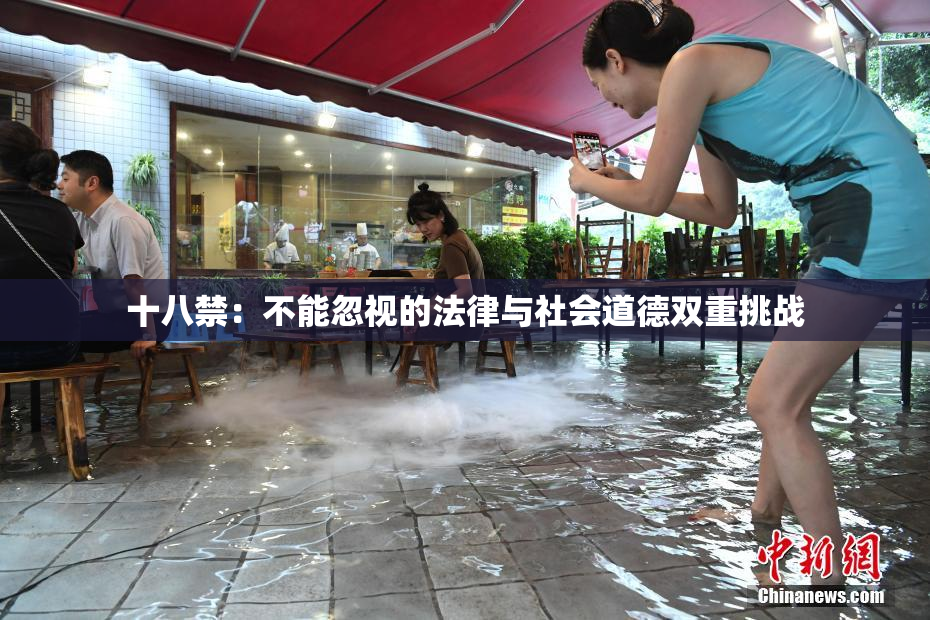 十八禁：不能忽视的法律与社会道德双重挑战