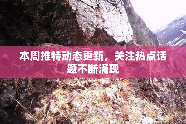 本周推特动态更新，关注热点话题不断涌现