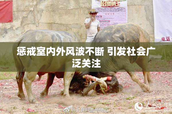 惩戒室内外风波不断 引发社会广泛关注