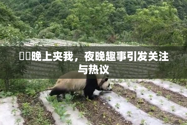 妺妺晚上夹我，夜晚趣事引发关注与热议