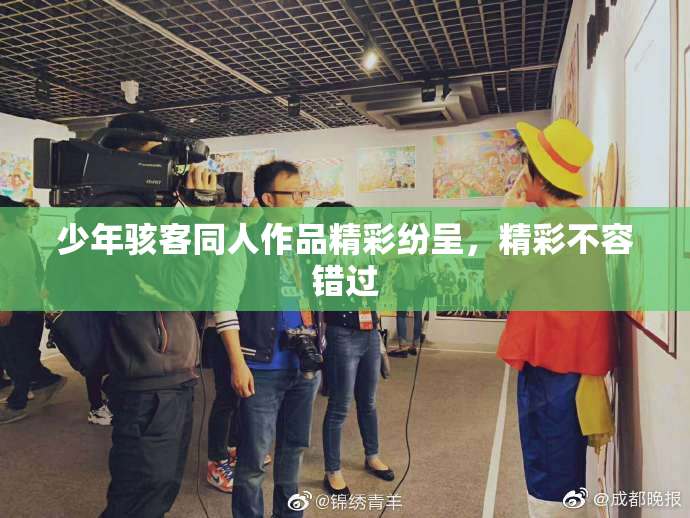 少年骇客同人作品精彩纷呈，精彩不容错过