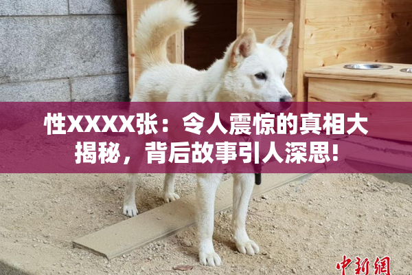 性XXXX张：令人震惊的真相大揭秘，背后故事引人深思!