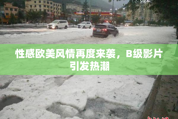 性感欧美风情再度来袭，B级影片引发热潮