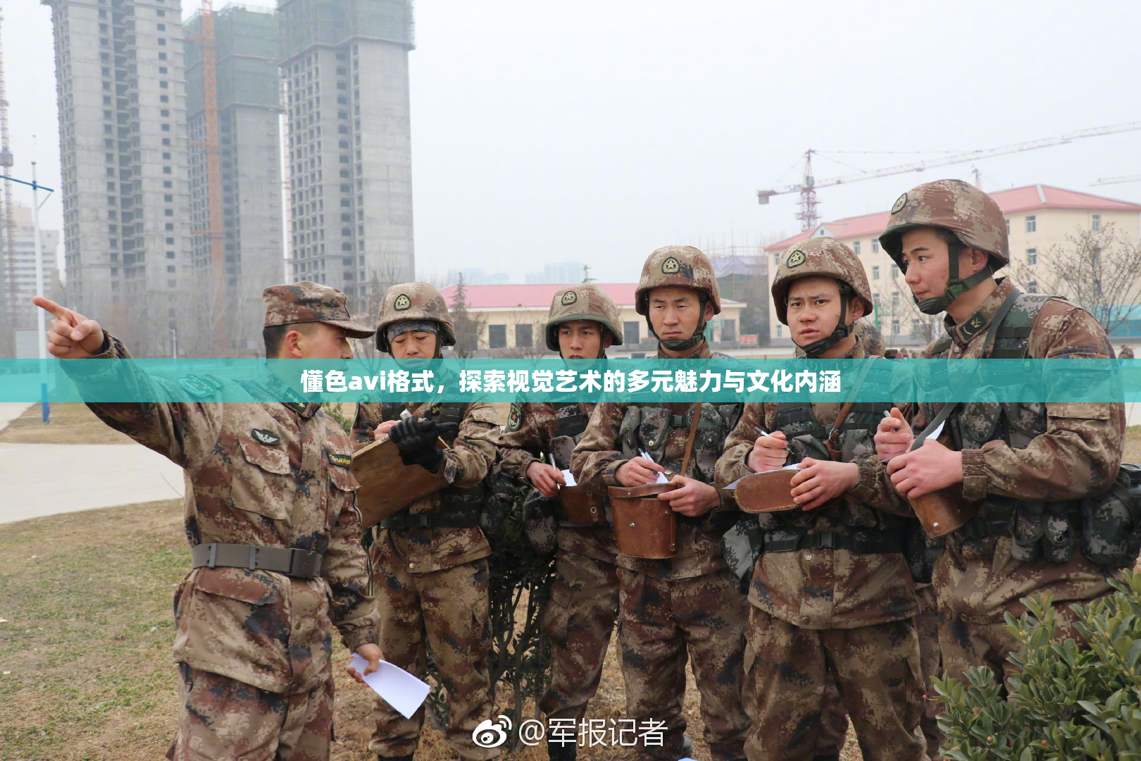懂色avi格式，探索视觉艺术的多元魅力与文化内涵
