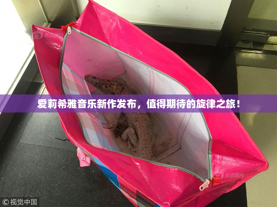 爱莉希雅音乐新作发布，值得期待的旋律之旅！