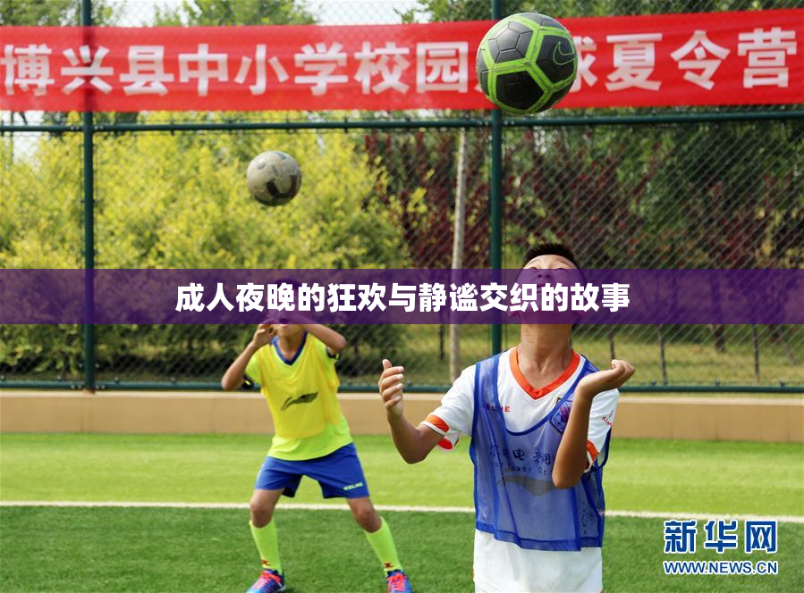 成人夜晚的狂欢与静谧交织的故事