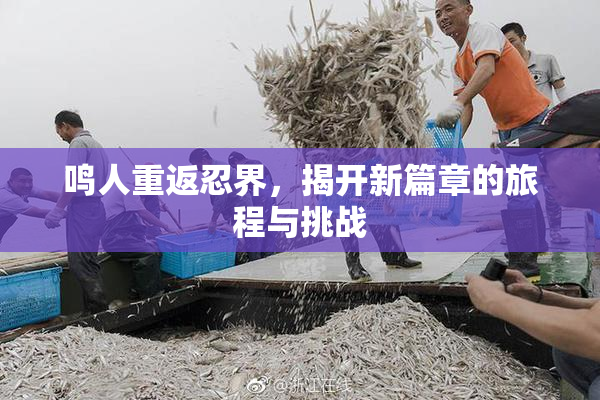 鸣人重返忍界，揭开新篇章的旅程与挑战