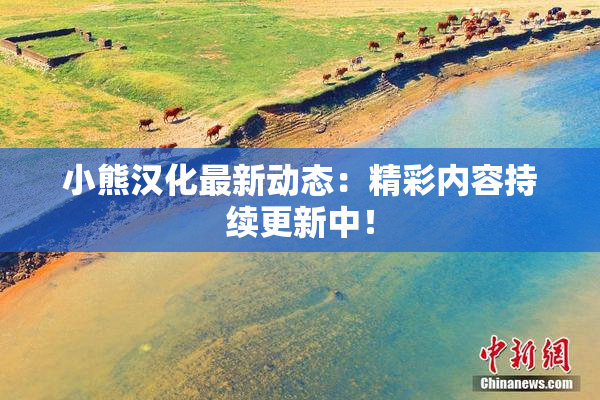 小熊汉化最新动态：精彩内容持续更新中！