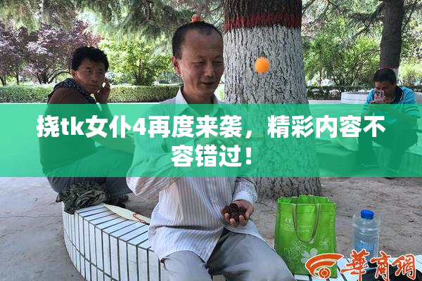 挠tk女仆4再度来袭，精彩内容不容错过！