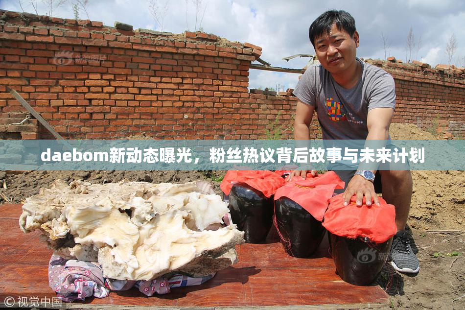 daebom新动态曝光，粉丝热议背后故事与未来计划