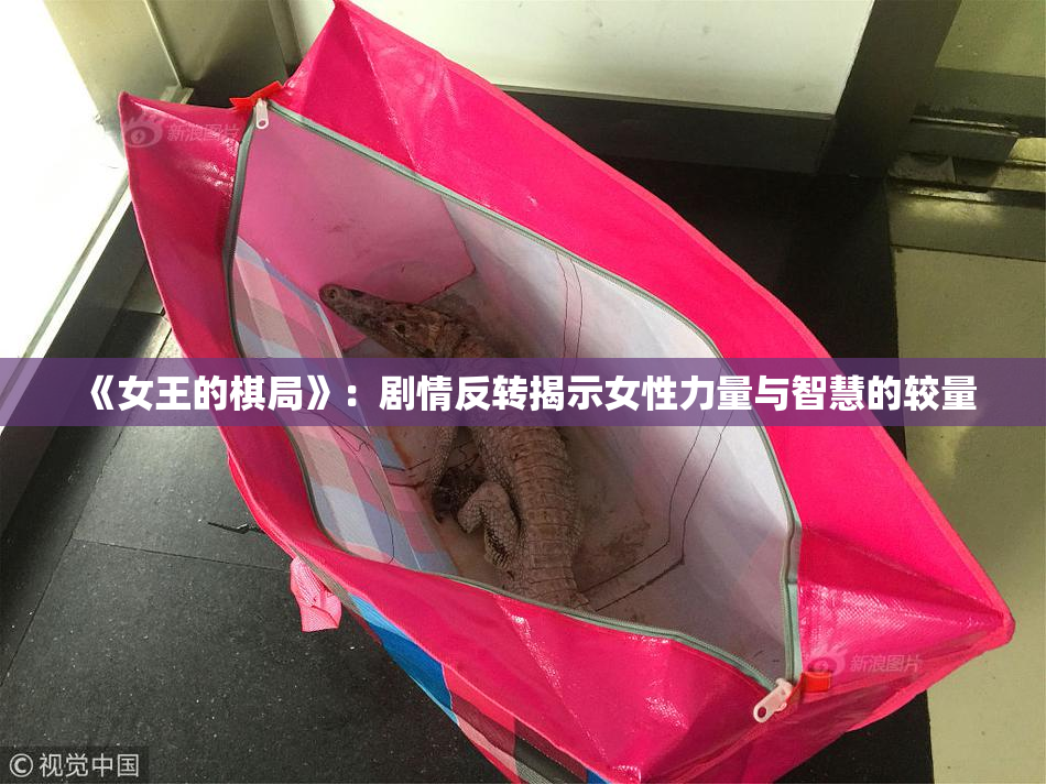 《女王的棋局》：剧情反转揭示女性力量与智慧的较量