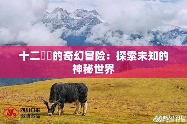 十二妺妺的奇幻冒险：探索未知的神秘世界