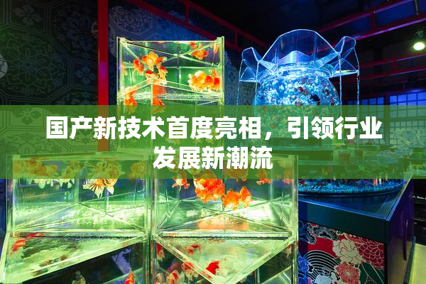 国产新技术首度亮相，引领行业发展新潮流