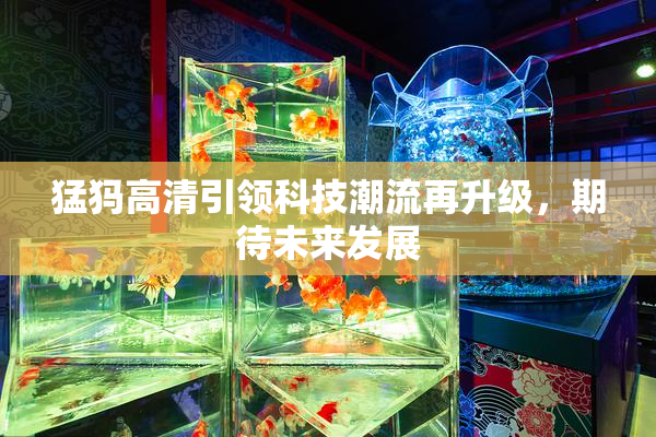 猛犸高清引领科技潮流再升级，期待未来发展