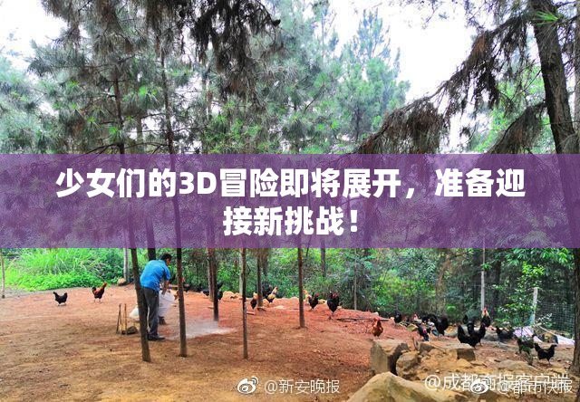 少女们的3D冒险即将展开，准备迎接新挑战！