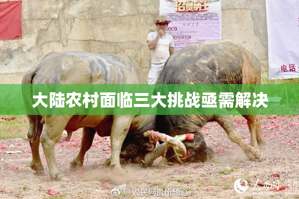 大陆农村面临三大挑战亟需解决