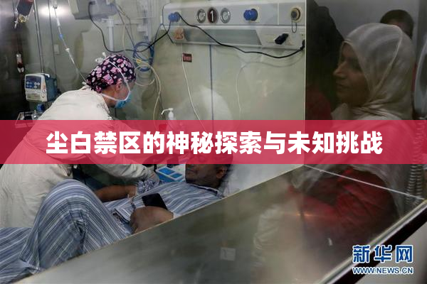 尘白禁区的神秘探索与未知挑战