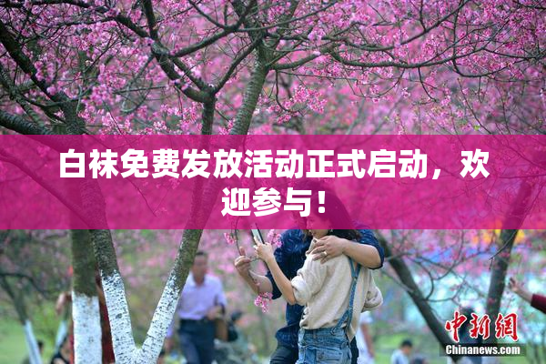 白袜免费发放活动正式启动，欢迎参与！
