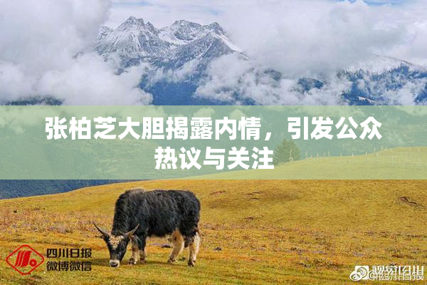 张柏芝大胆揭露内情，引发公众热议与关注
