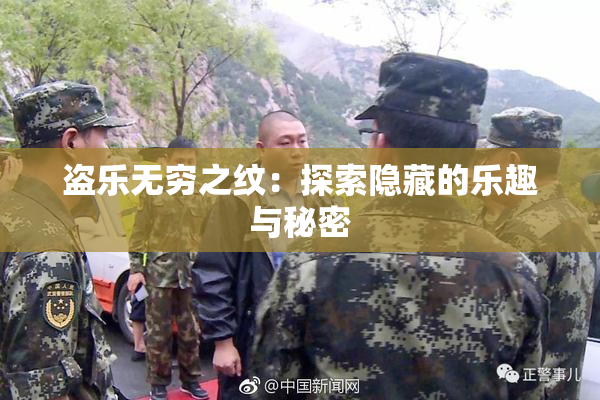 盗乐无穷之纹：探索隐藏的乐趣与秘密