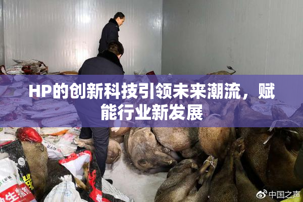 HP的创新科技引领未来潮流，赋能行业新发展