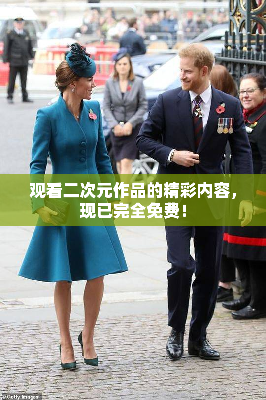 观看二次元作品的精彩内容，现已完全免费！