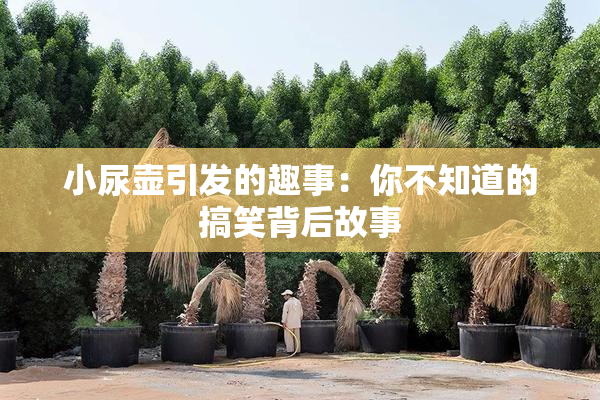 小尿壶引发的趣事：你不知道的搞笑背后故事