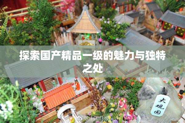 探索国产精品一级的魅力与独特之处