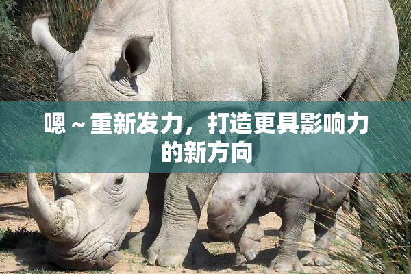 嗯～重新发力，打造更具影响力的新方向