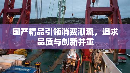 国产精品引领消费潮流，追求品质与创新并重