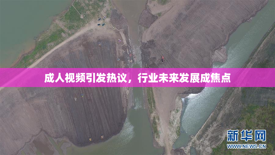成人视频引发热议，行业未来发展成焦点