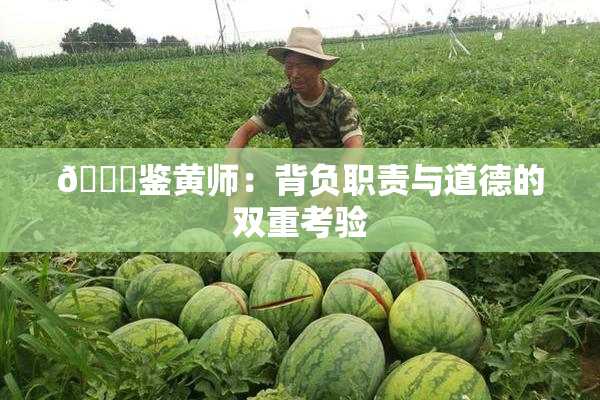 🔞鉴黄师：背负职责与道德的双重考验