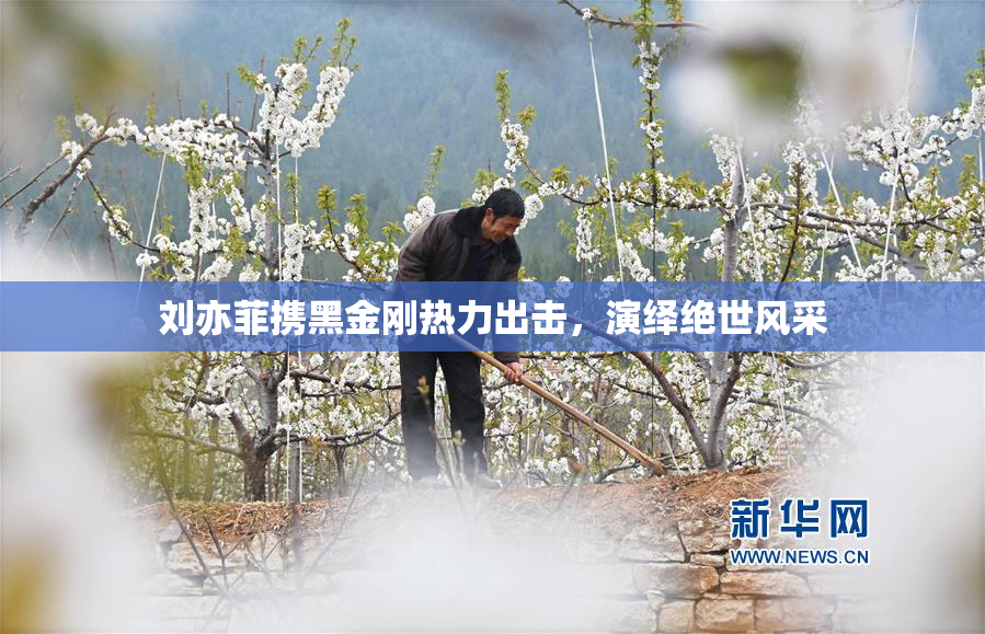 刘亦菲携黑金刚热力出击，演绎绝世风采