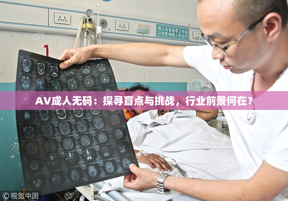 AV成人无码：探寻盲点与挑战，行业前景何在？