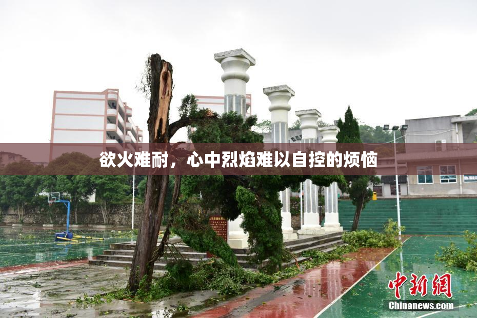 欲火难耐，心中烈焰难以自控的烦恼