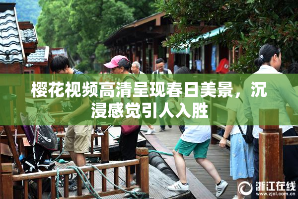 樱花视频高清呈现春日美景，沉浸感觉引人入胜
