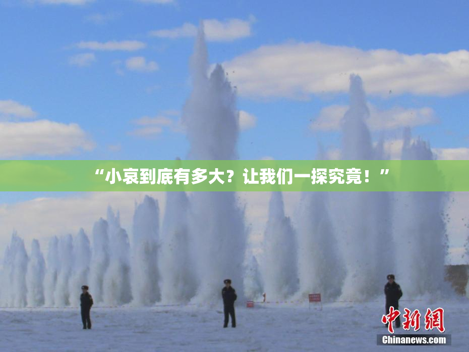 “小哀到底有多大？让我们一探究竟！”