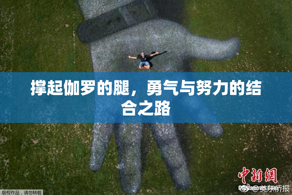 撑起伽罗的腿，勇气与努力的结合之路