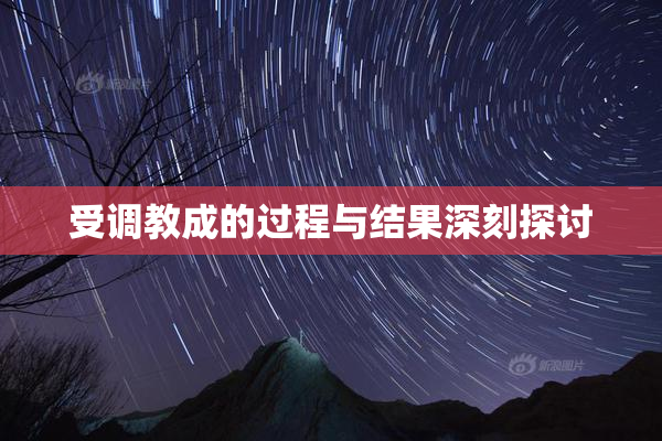 受调教成的过程与结果深刻探讨