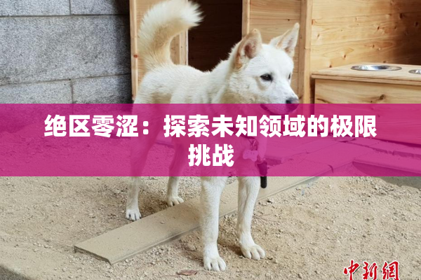 绝区零涩：探索未知领域的极限挑战