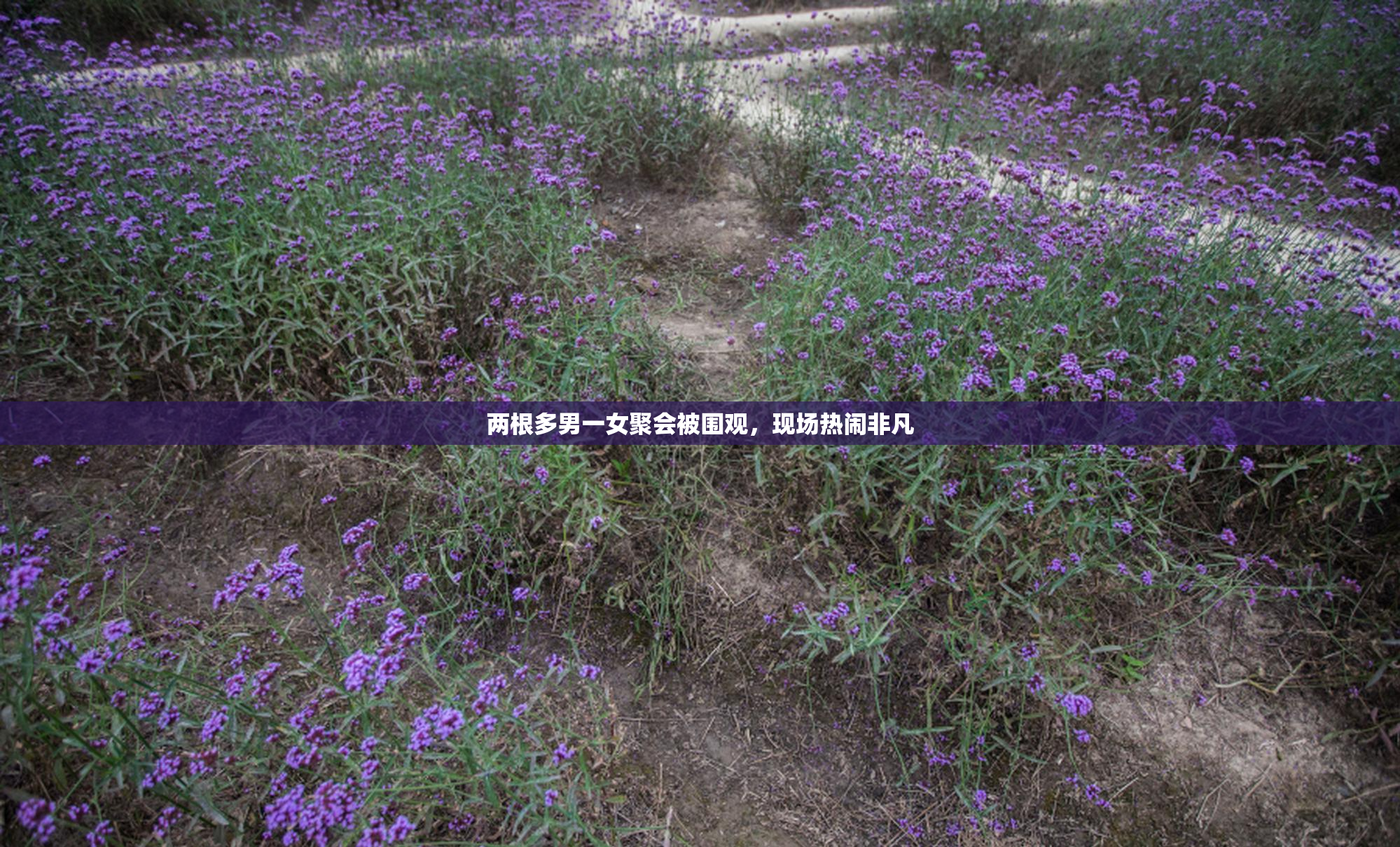两根多男一女聚会被围观，现场热闹非凡