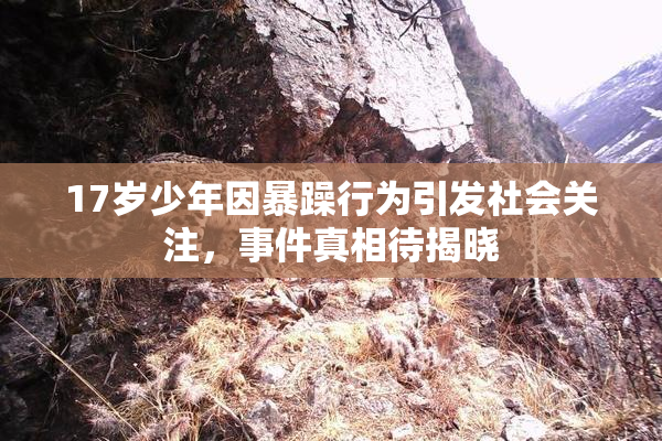 17岁少年因暴躁行为引发社会关注，事件真相待揭晓