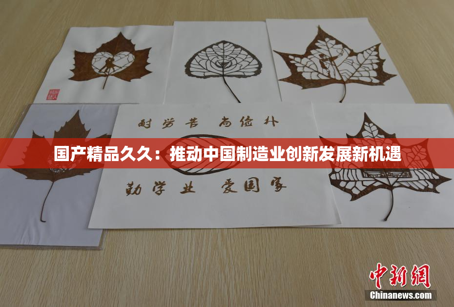 国产精品久久：推动中国制造业创新发展新机遇