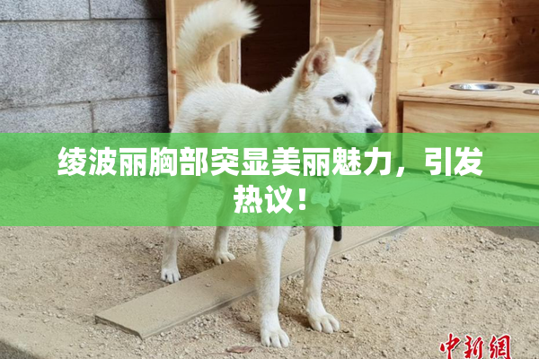 绫波丽胸部突显美丽魅力，引发热议！