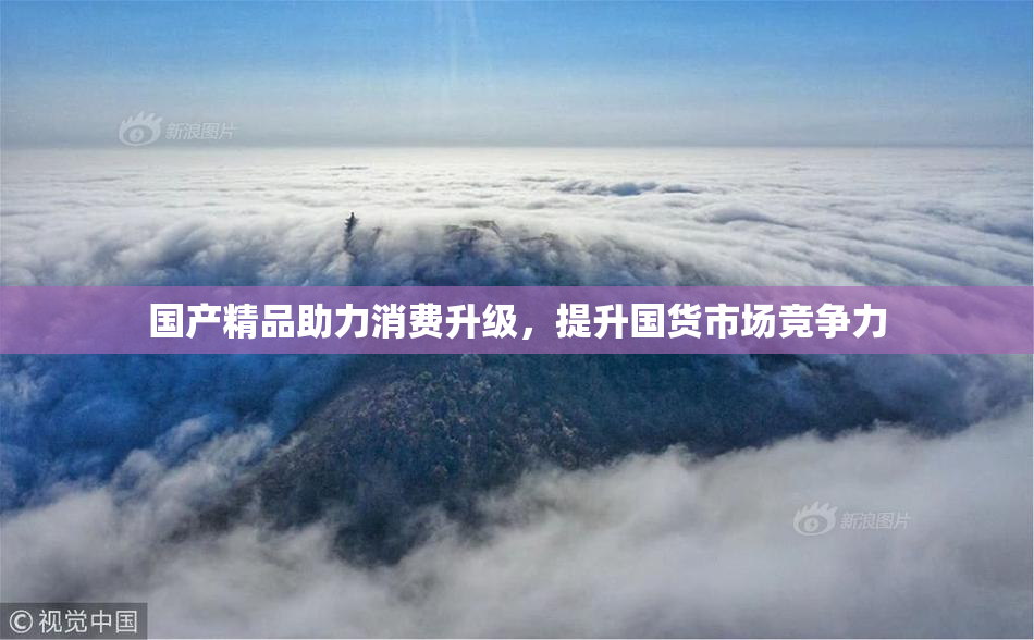国产精品助力消费升级，提升国货市场竞争力